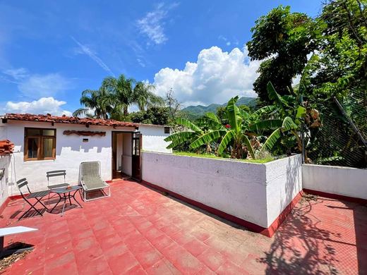 Floresta Boulevard, photograph 15