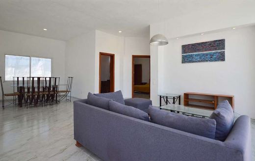 Casa Paraiso, photograph 14