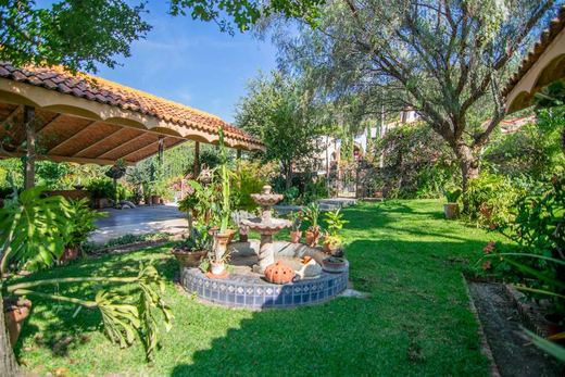 Casa Los Encinos, photograph 3