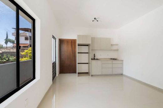 Casa 180 Income Potential, photograph 14