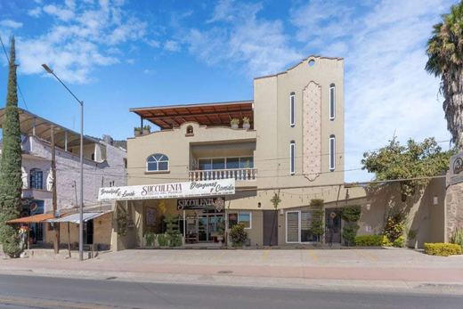 Departamento y local comercial, photograph 18