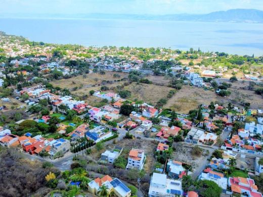 Rio Orinoco Spectacular Views, photograph 15