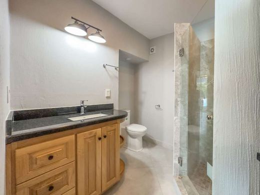 La Vista Lakeview Condo, photograph 16