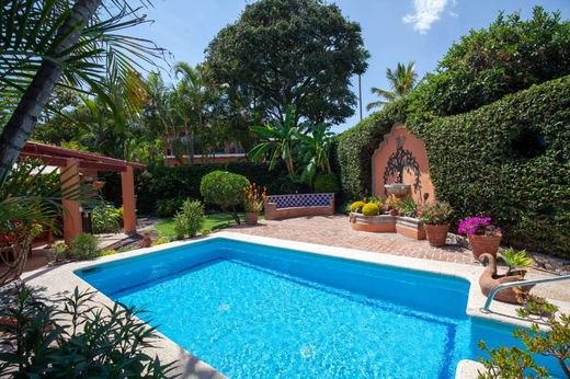 La Floresta Oasis, photograph 14