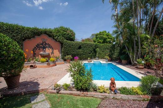 La Floresta Oasis, photograph 15