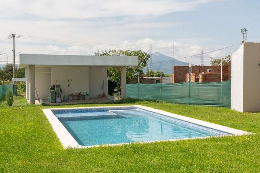 Casa Lechuza, photograph 13