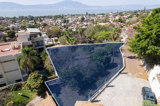 Panoramico Ajijic, photograph 10