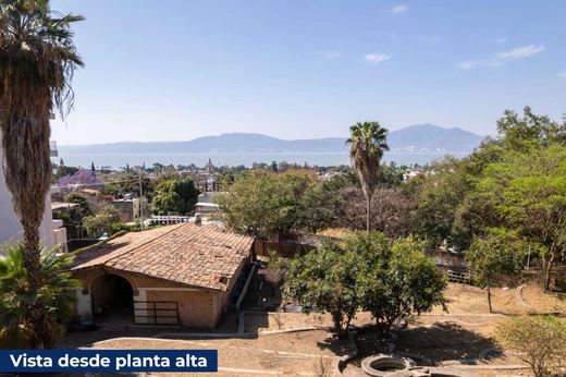 Panoramico Ajijic, photograph 3