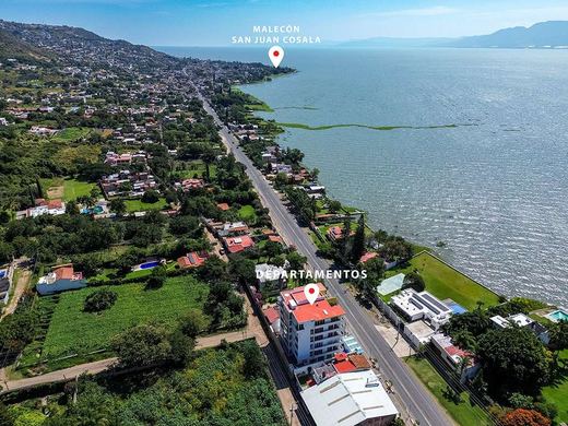 Lake Chapala Views, photograph 17