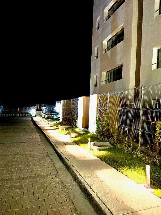 Xantia, Departamento 1301, photograph 14