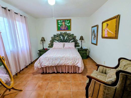Los Lirios 19, photograph 13