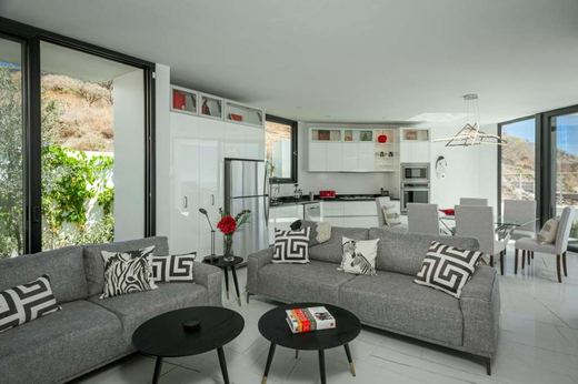 Deluxe Modern, photograph 14
