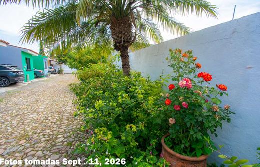 Casa Torgerson, photograph 17
