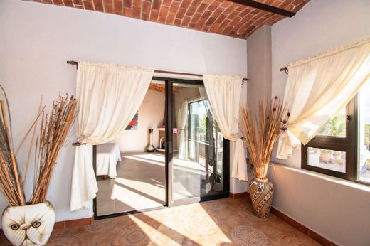 Villa Olivos, photograph 15