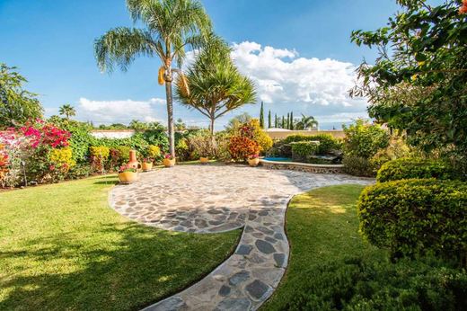 Villa Olivos, photograph 16