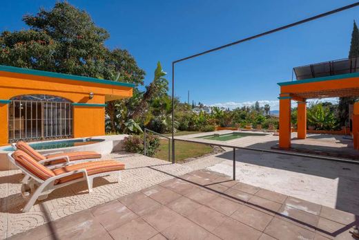 Chula Vista Fixer Upper Treasure, photograph 14