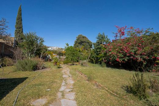 Chula Vista Fixer Upper Treasure, photograph 15