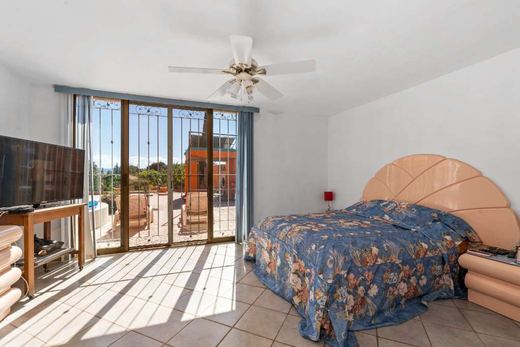 Chula Vista Fixer Upper Treasure, photograph 17