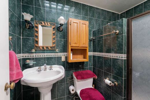 Chula Vista Fixer Upper Treasure, photograph 18