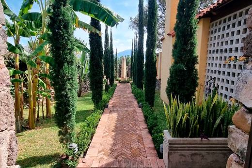 LAS Tapias -3 Acre Estate, photograph 14