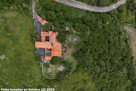 LAS Tapias -3 Acre Estate, photograph 17