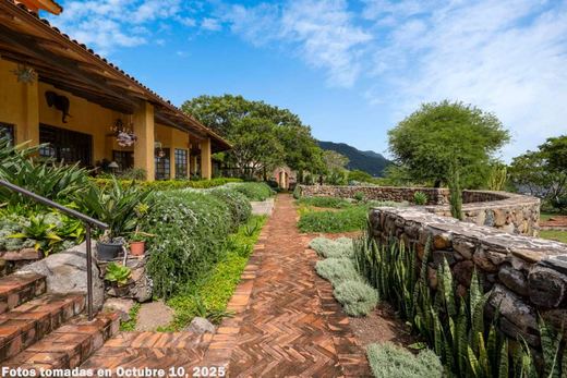 LAS Tapias -3 Acre Estate, photograph 18