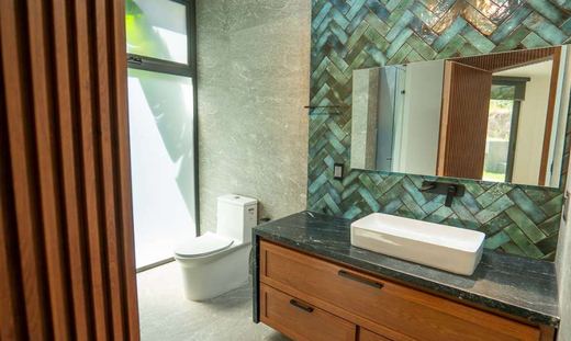 Cielo Vista Luxury Home, photograph 15