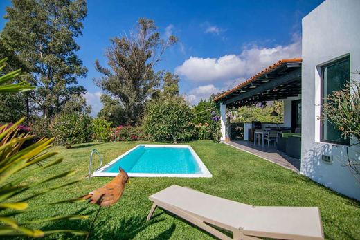 Sunset Villa, photograph 13