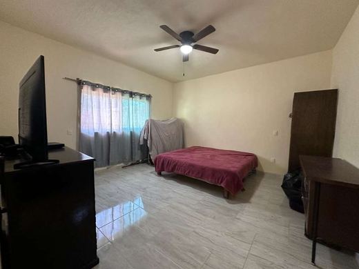 Casa Nicole, photograph 7