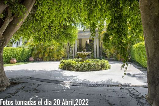 Moon Estate, photograph 18