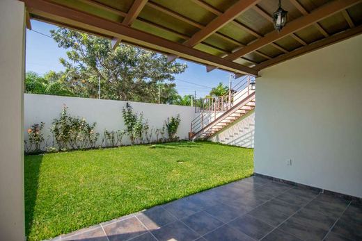 Real Larios Home, photograph 12