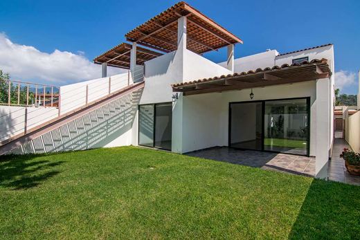 Real Larios Home, photograph 13