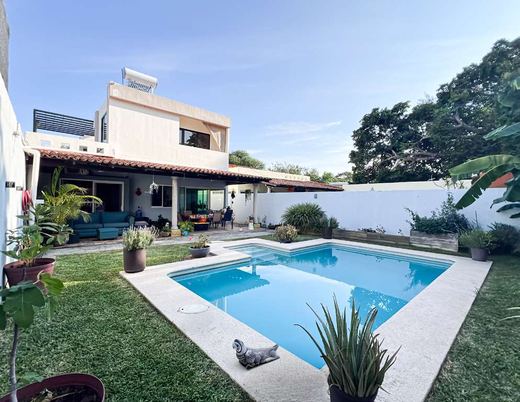 Canacinta Living & Investment in La Canacinta