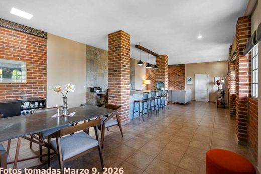 Casa Olivo, photograph 14
