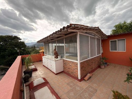 Casa Ibarra, photograph 11