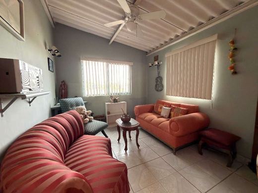 Casa Ibarra, photograph 9