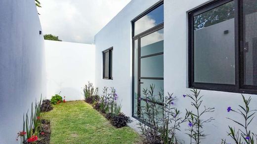 Casa Millán, photograph 15