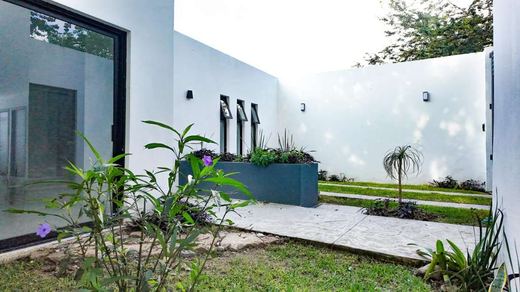 Casa Millán, photograph 2