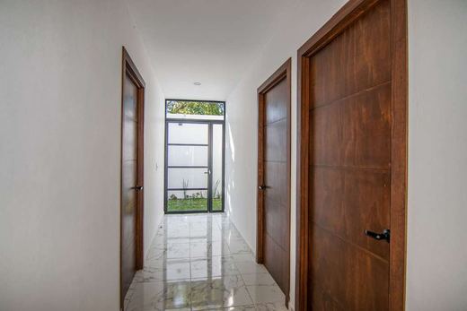 Casa Millán, photograph 7