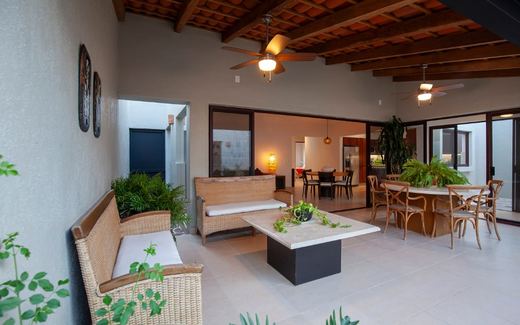 Casa Lirio #11, photograph 14