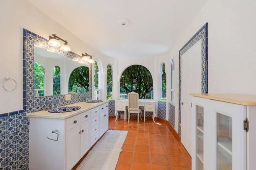 Linda, photograph 10