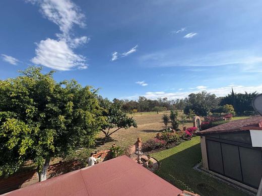 Green views, photograph 4
