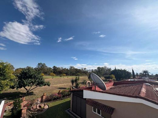Green views, photograph 5