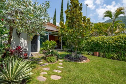 Floresta GEM, photograph 16