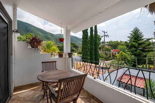 Floresta GEM, photograph 9