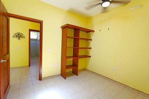 Casa Luisa, photograph 14