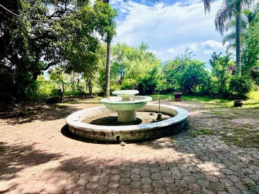 Mansion Lakefront Ajijic, photograph 10