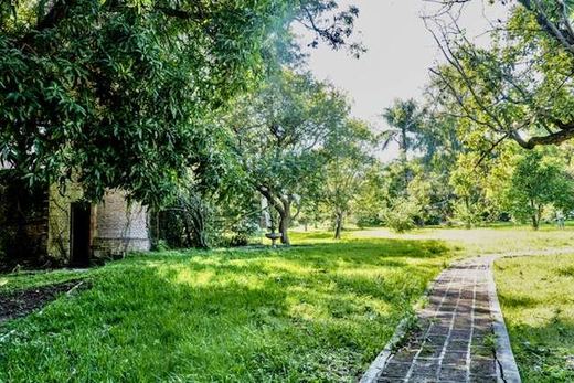 Mansion Lakefront Ajijic, photograph 9