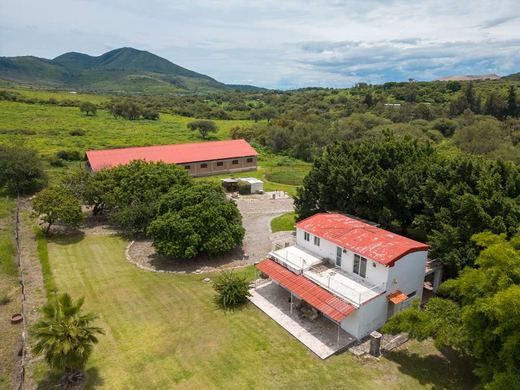 Hacienda la Jerarquia, photograph 15