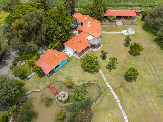 Hacienda la Jerarquia, photograph 16